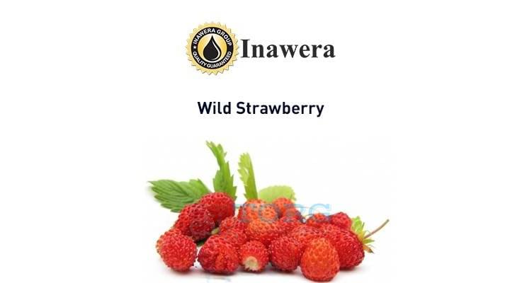 Ароматизатор Inawera Wild Strawberry