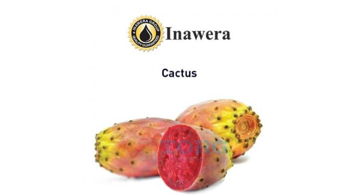 Ароматизатор Inawera Cactus