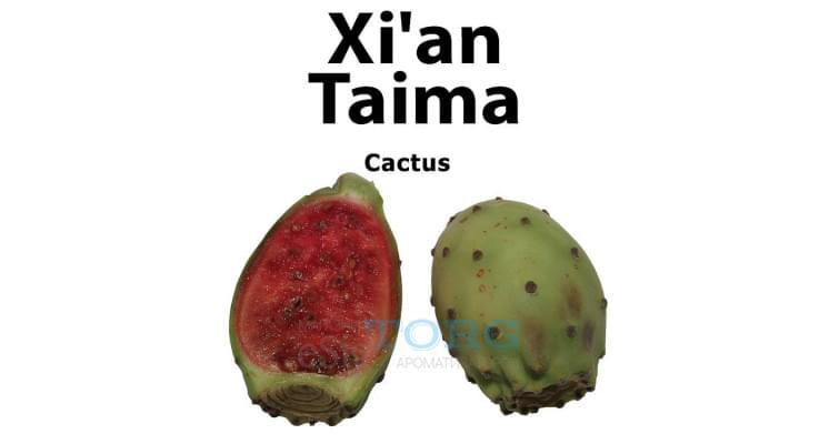 Ароматизатор Xi'an Taima Cactus