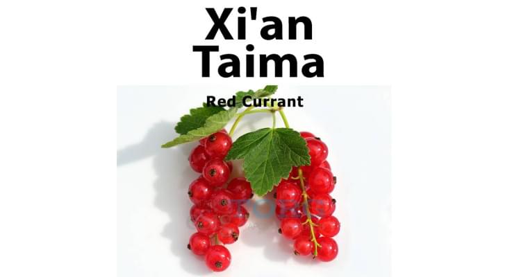 Ароматизатор Xi'an Taima Red Currant