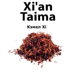 CamlXi Xian Taima